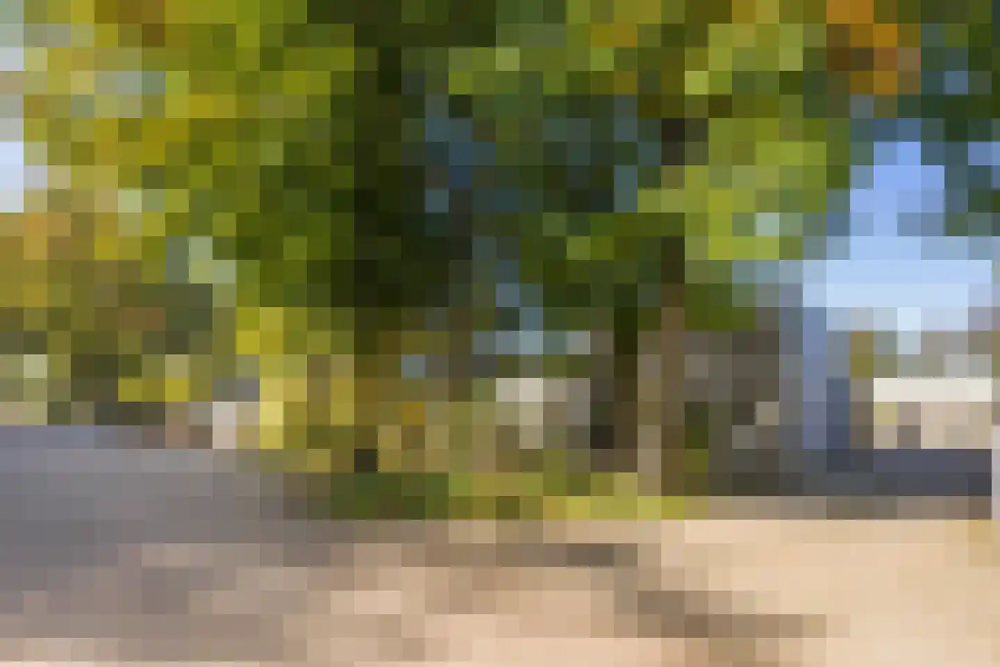 Industrieweg 5 Drunen thumbnail 52