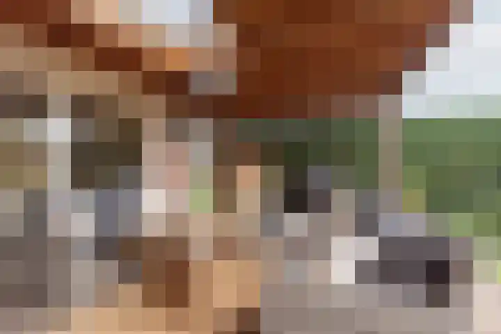 Industrieweg 64 Terborg thumbnail 34