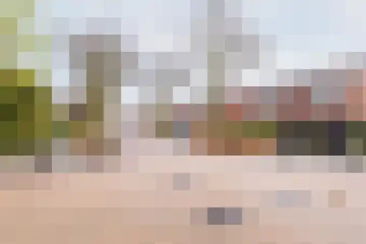 Industrieweg 64 Terborg thumbnail 41