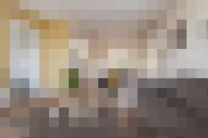 Industrieweg 64 Terborg thumbnail 7