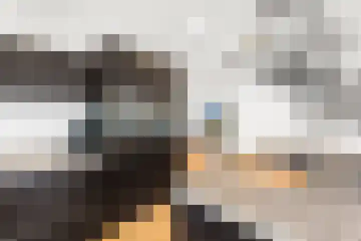 Industrieweg 7 Mierlo thumbnail 10