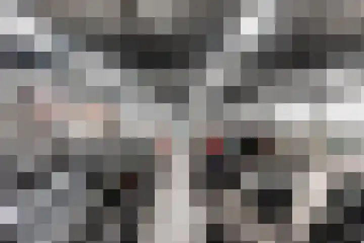 Industrieweg 7 Mierlo thumbnail 43