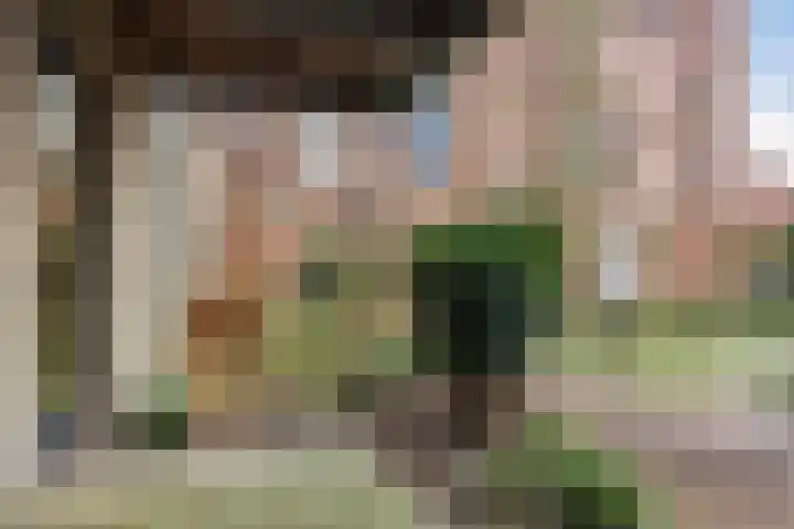 Infirmerie 15 Grave thumbnail 27