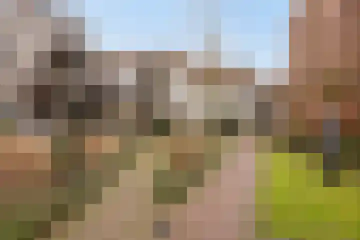 Infirmerie 15 Grave thumbnail 28