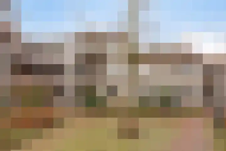 Infirmerie 15 Grave thumbnail 4