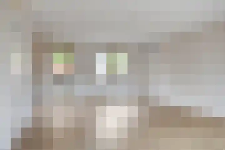 Infirmerie 24 a Grave thumbnail 12