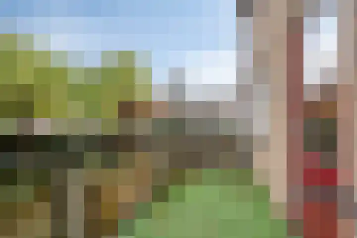 Infirmerie 24 a Grave thumbnail 13