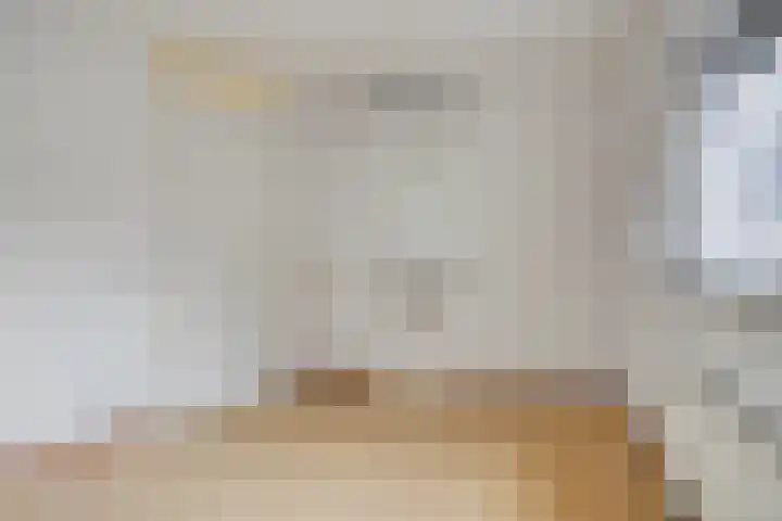 Infirmerie 24 a Grave thumbnail 14