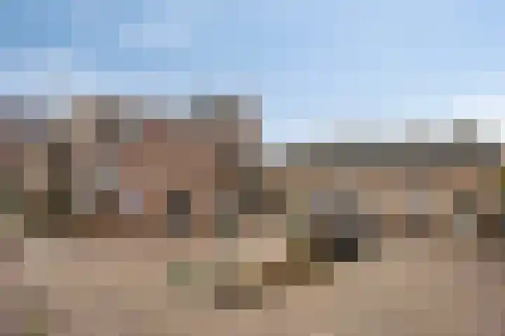 Infirmerie 24 a Grave thumbnail 29