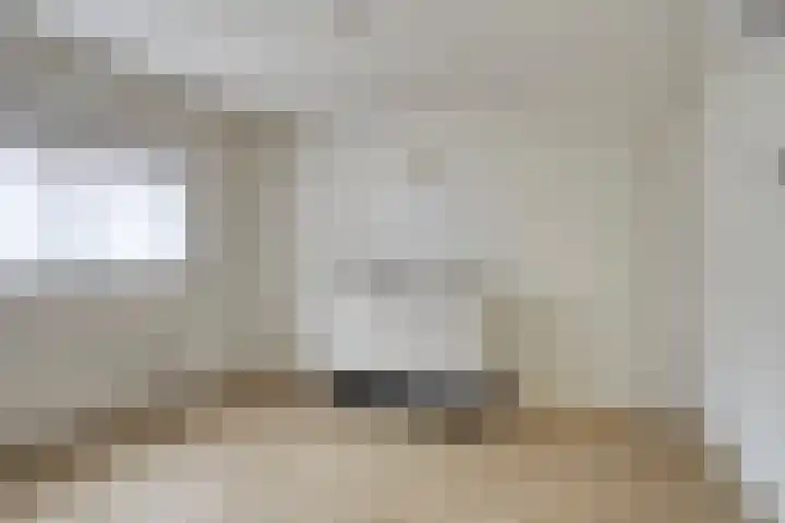 Infirmerie 24 a Grave foto 3