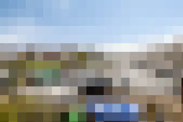 Infirmerie 24 a Grave thumbnail 30