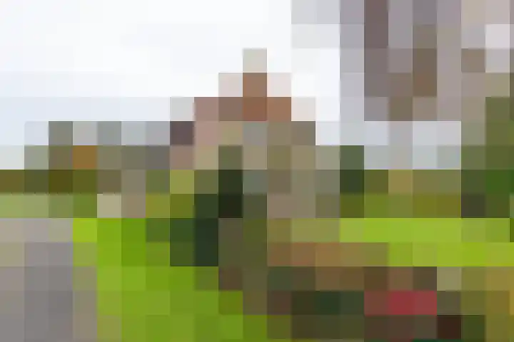Inialoane 96 Garyp
