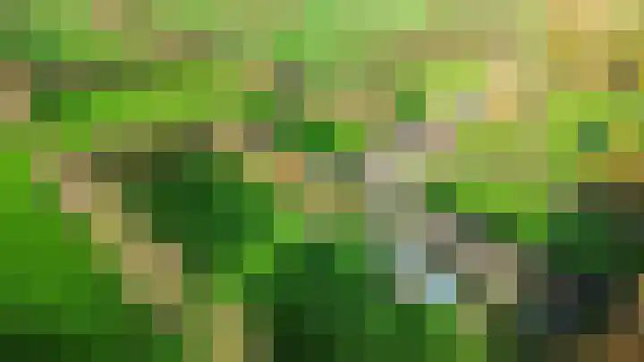 Inialoane 96 Garyp thumbnail 12