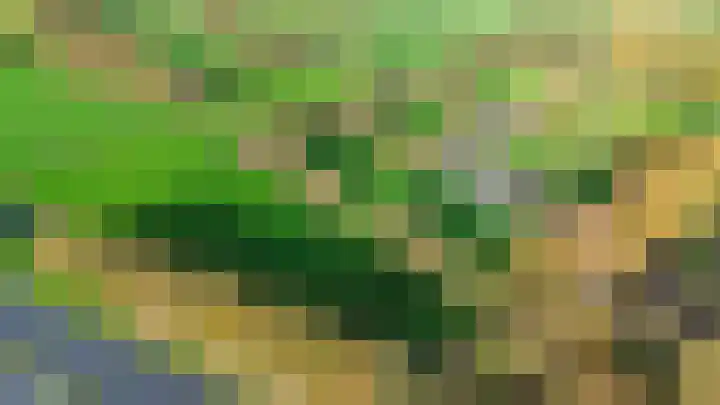 Inialoane 96 Garyp thumbnail 13