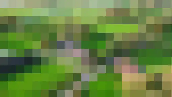 Inialoane 96 Garyp thumbnail 16