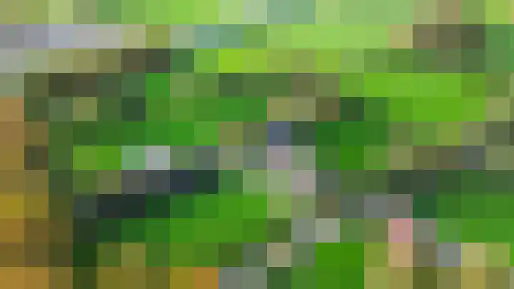 Inialoane 96 Garyp thumbnail 17
