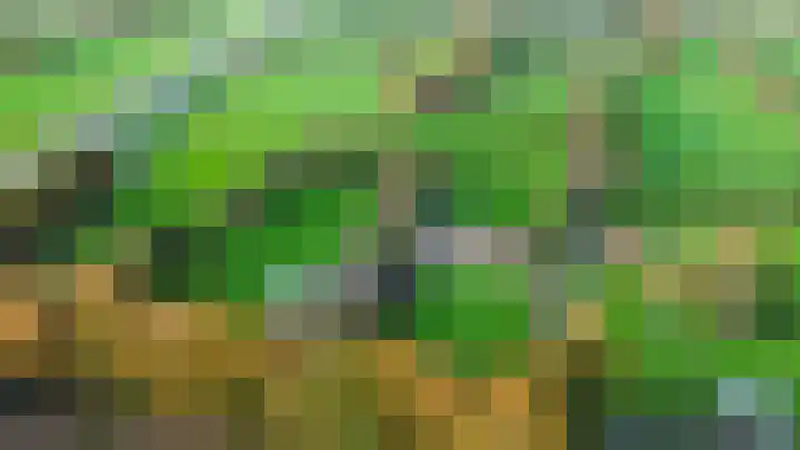 Inialoane 96 Garyp thumbnail 18