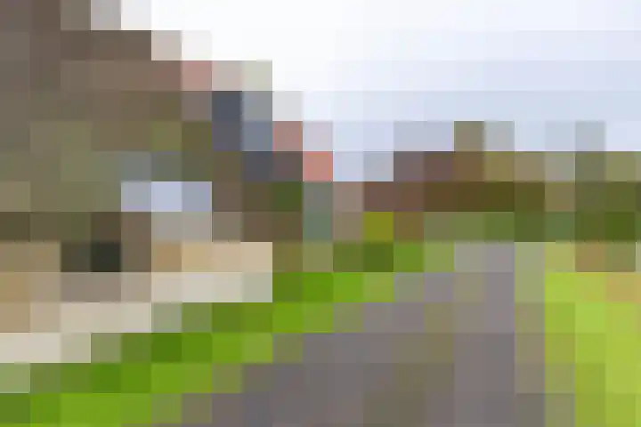 Inialoane 96 Garyp thumbnail 21