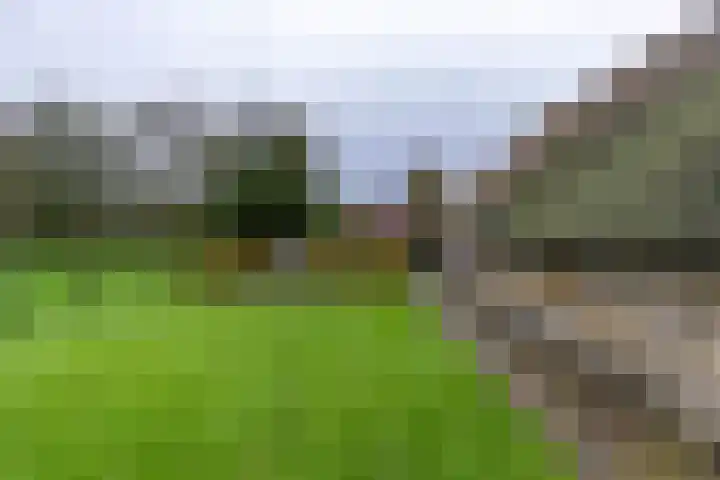 Inialoane 96 Garyp thumbnail 28