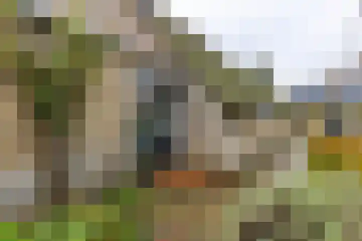 Inialoane 96 Garyp thumbnail 31