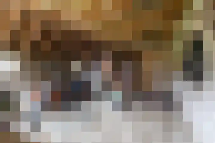 Inialoane 96 Garyp thumbnail 57