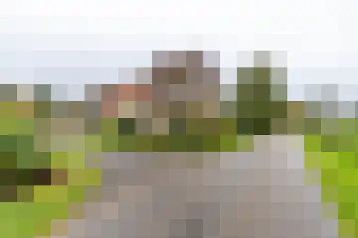 Inialoane 96 Garyp thumbnail 6