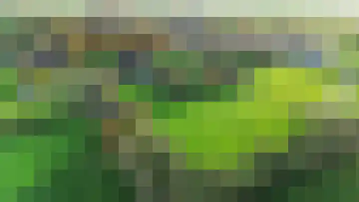 Inialoane 96 Garyp thumbnail 7