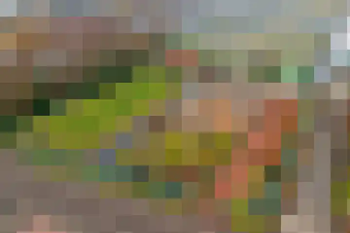 Insteek 24 Boskoop