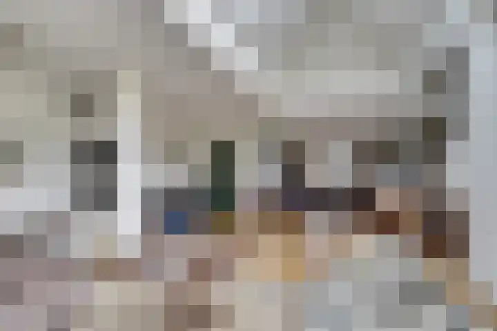 Insteek 24 Boskoop thumbnail 15