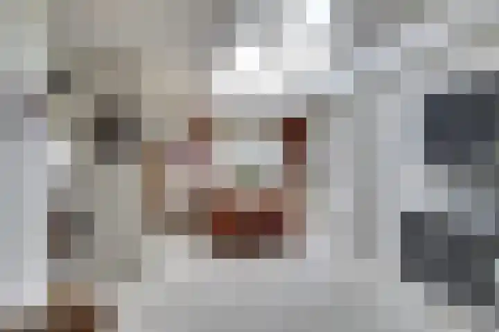 Insteek 24 Boskoop thumbnail 18