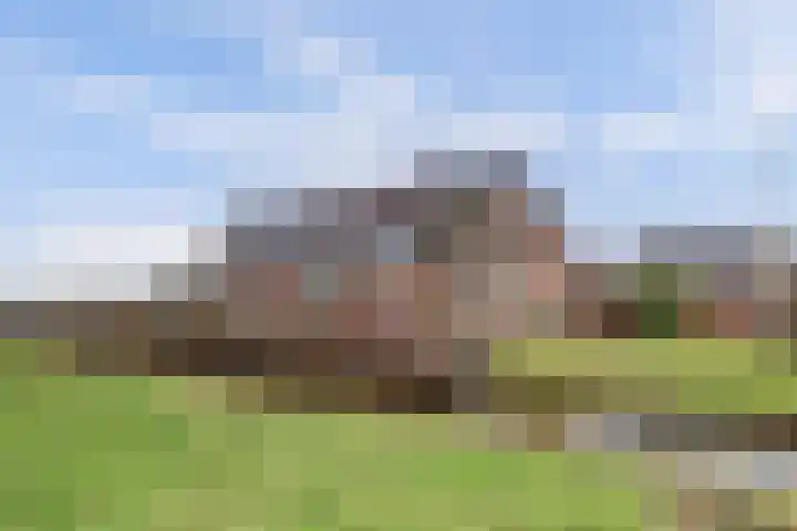 Insteek 24 Boskoop foto 3
