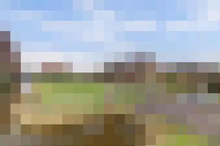 Insteek 24 Boskoop thumbnail 35