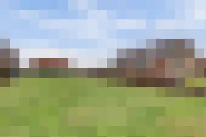 Insteek 24 Boskoop thumbnail 36