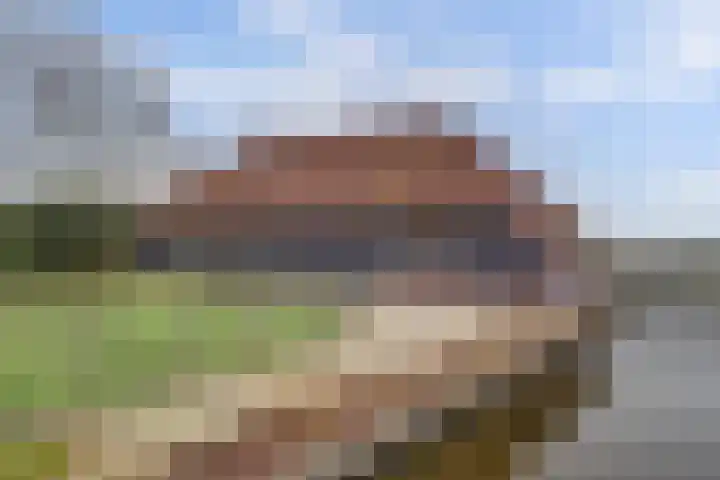 Insteek 24 Boskoop thumbnail 37