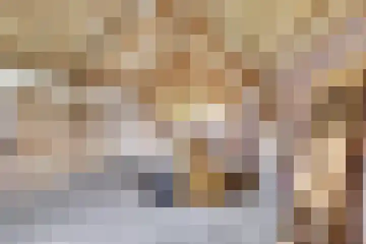 Insteek 24 Boskoop thumbnail 38