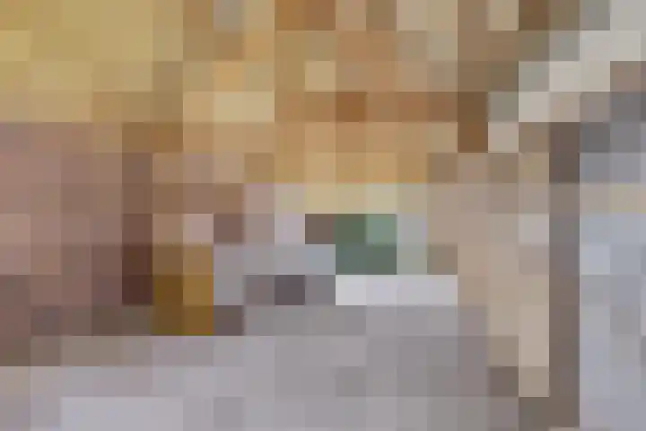 Insteek 24 Boskoop thumbnail 39
