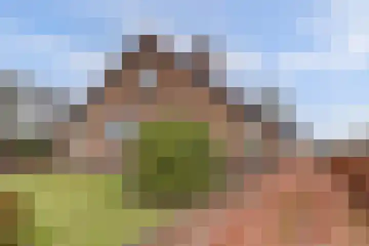 Insteek 24 Boskoop thumbnail 4