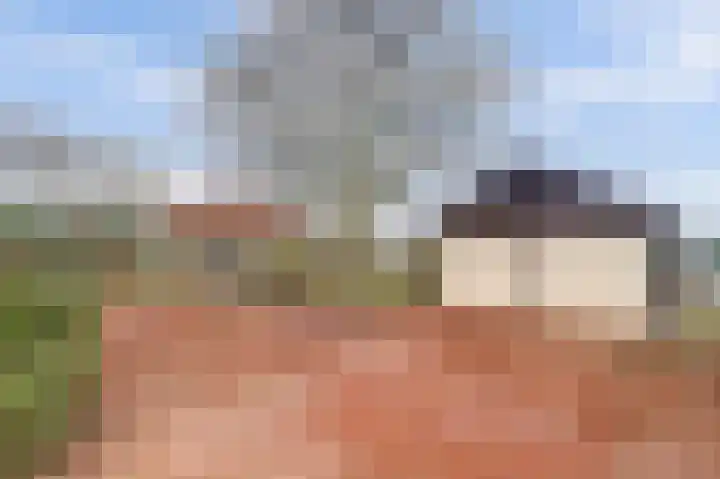 Insteek 24 Boskoop thumbnail 40