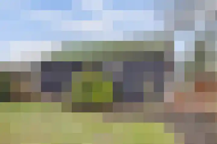 Insteek 24 Boskoop thumbnail 41