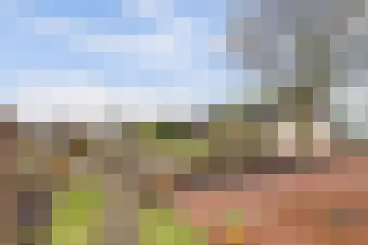 Insteek 24 Boskoop thumbnail 42