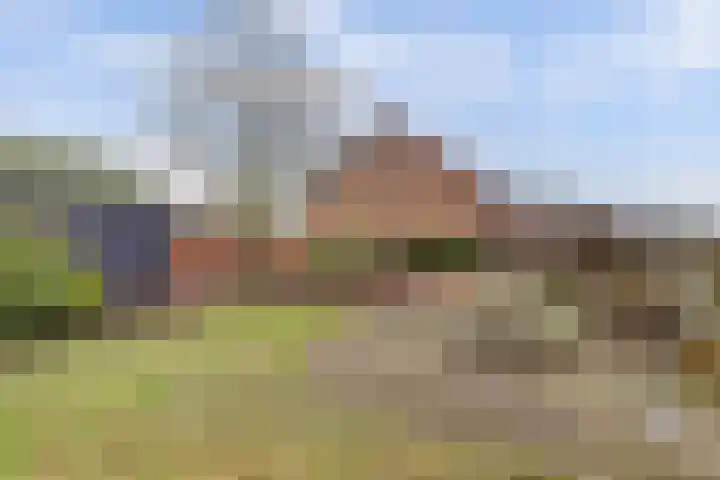 Insteek 24 Boskoop thumbnail 43