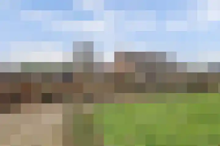 Insteek 24 Boskoop thumbnail 45