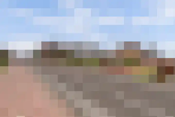Insteek 24 Boskoop thumbnail 48