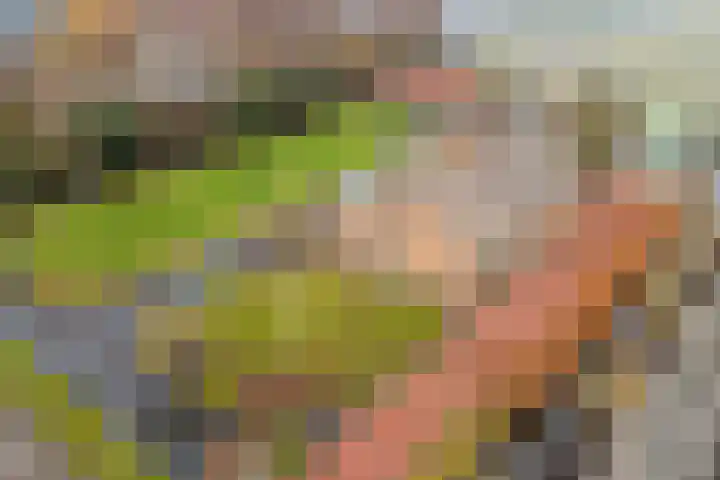 Insteek 24 Boskoop thumbnail 49