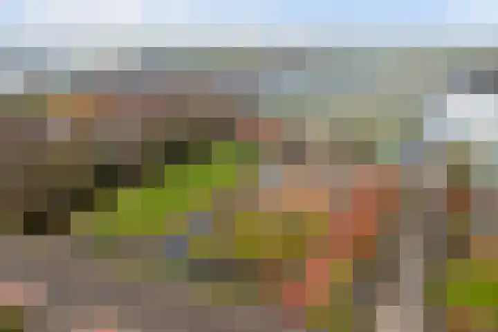 Insteek 24 Boskoop thumbnail 50