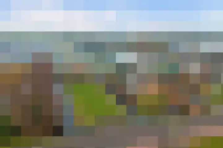 Insteek 24 Boskoop thumbnail 52