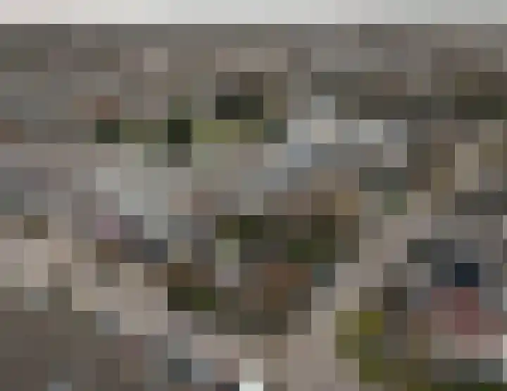 Instraat 18 Budel