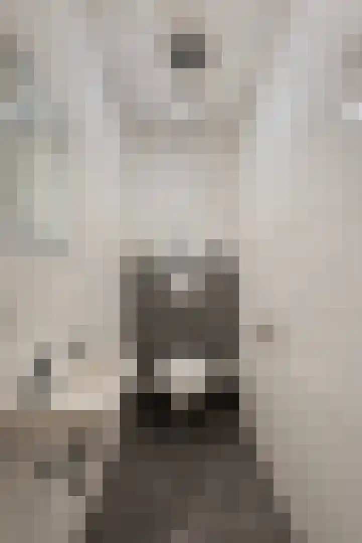 Instraat 18 Budel thumbnail 21
