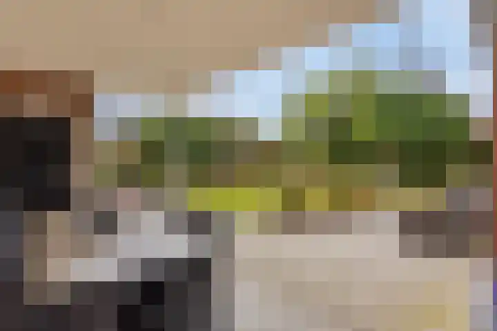 Instraat 18 Budel thumbnail 22