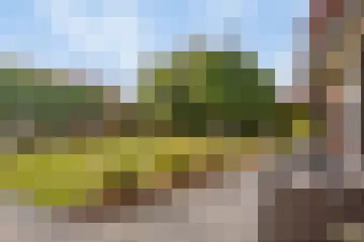 Instraat 18 Budel thumbnail 23